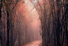 乐鱼体育：沙特代表团团长：哈尔滨亚冬会将是顶尖体育赛事新华社.