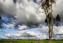三年前遣返阴影犹在 乔科维奇承认落地墨尔本仍有压力.