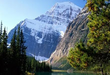 乐鱼体育：沙特代表团团长：哈尔滨亚冬会将是顶尖体育赛事新华社.