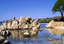 杜普兰蒂斯室内世锦赛夺冠 突破一项“不可思议的关卡”3-23 08：38.